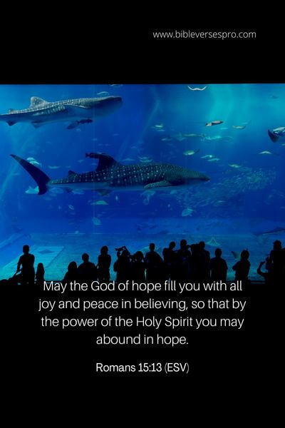 Romans 15_13 (Esv) (3)