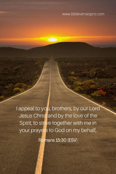 Romans 15_30 (ESV)