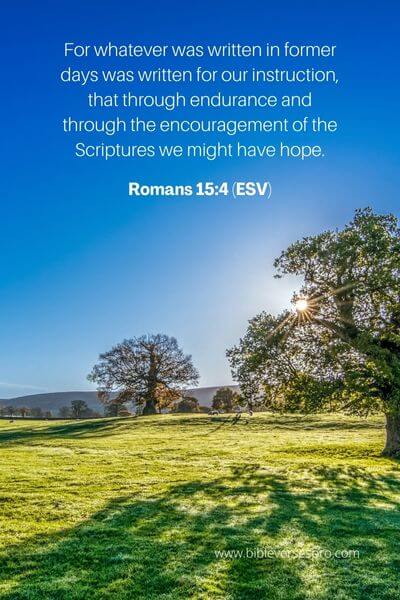 Romans 15_4 (Esv)30_5 (Esv)