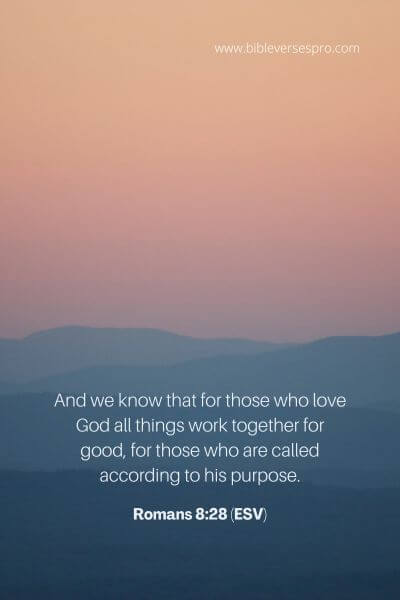 Romans 8_28 (ESV)
