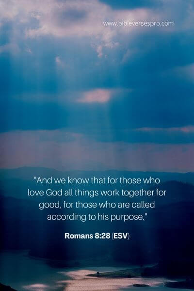 Romans 8_28 (Esv)