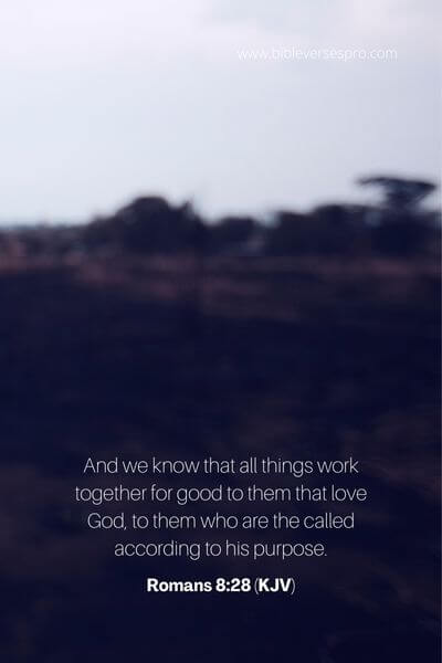 Romans 8_28 (Kjv)