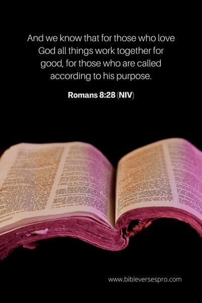 Romans 8_28 (NIV)