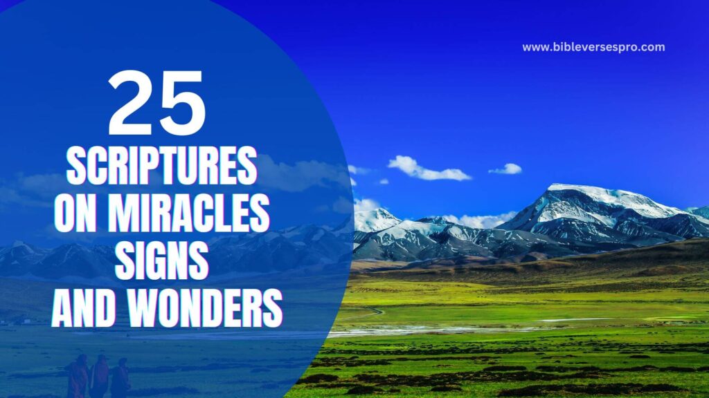 25 Powerful Scriptures On Miracles Signs And Wonders 2-64-what-does-the-bible-say-about-the-end-times-enter-the-bible