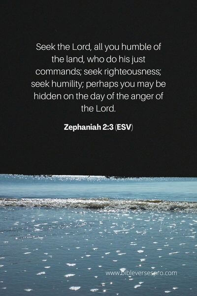 Zephaniah 2_3 (Esv)