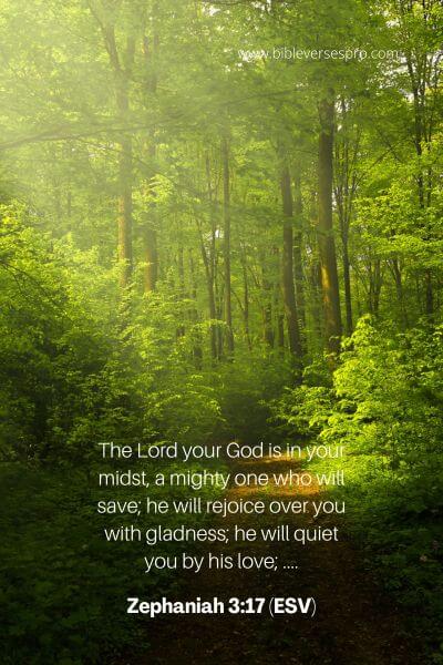 Zephaniah 3_17 (Esv)