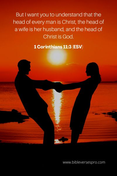 1 Corinthians 11_3 (Esv)