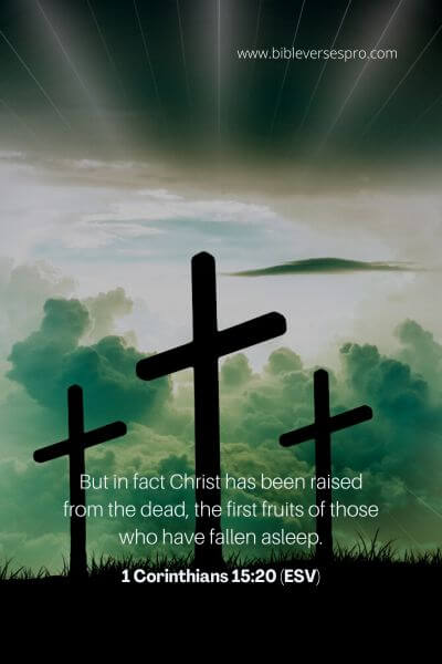 1 Corinthians 15_20 (Esv)