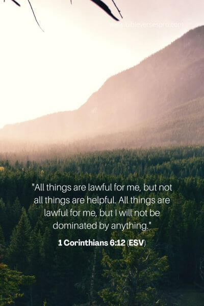 1 Corinthians 6_12 (Esv)