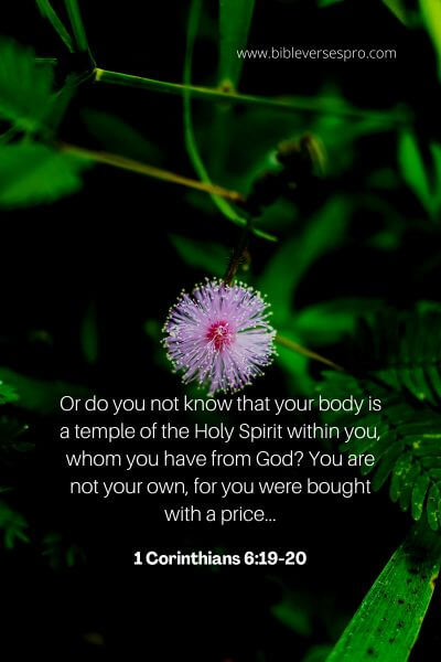 1 Corinthians 6_19-20