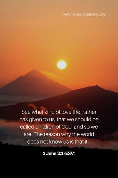 1 John 3_1 (Esv)