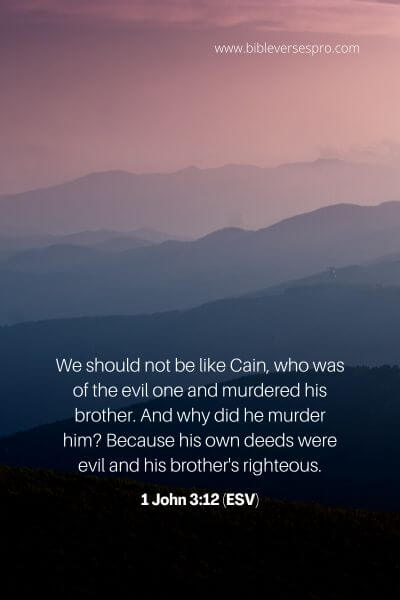 1 John 3_12 (Esv)