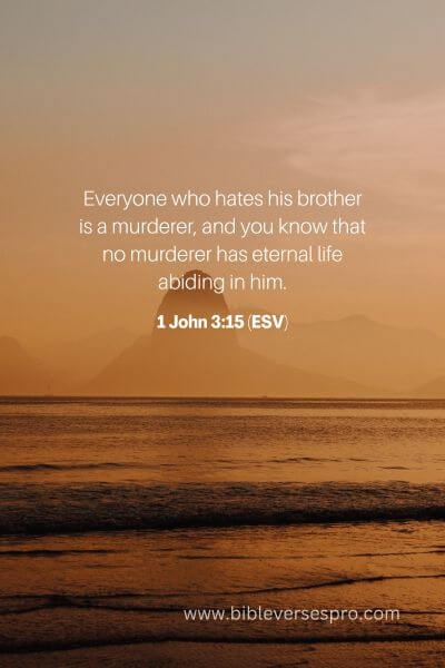 1 John 3_15 (Esv)