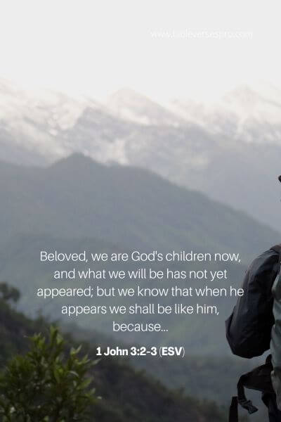 1 John 3_2-3 (ESV)