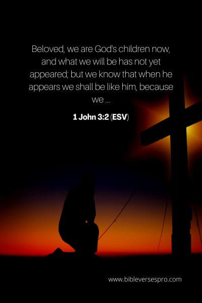 1 John 3_2 (Esv)