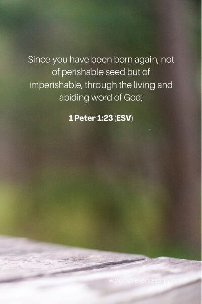 1 Peter 1_23 (Esv)