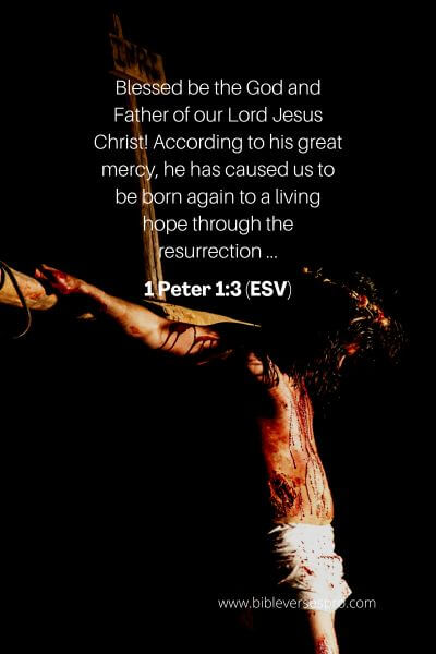 1 Peter 1_3 (Esv)