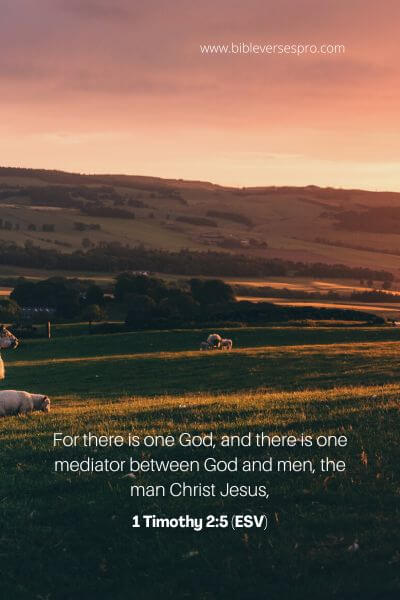 1 Timothy 2_5 (Esv)