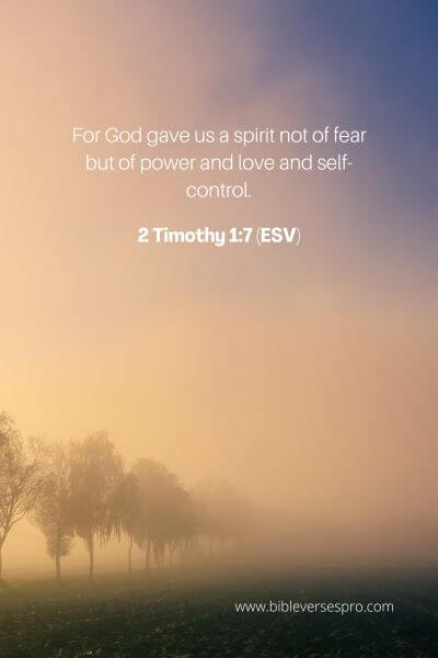 2 Timothy 1_7 (Esv)