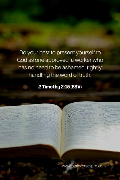 2 Timothy 2_15 (ESV)
