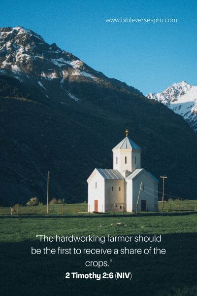 2 Timothy 2_6 (Niv)