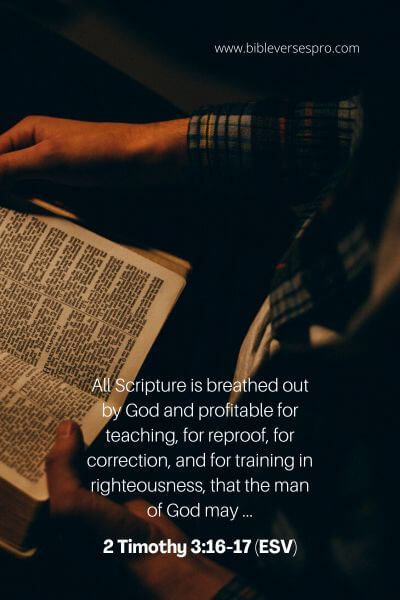 2 Timothy 3_16-17 (ESV)