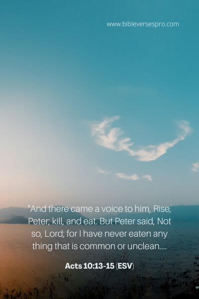 Acts 10_13-15 (Esv)