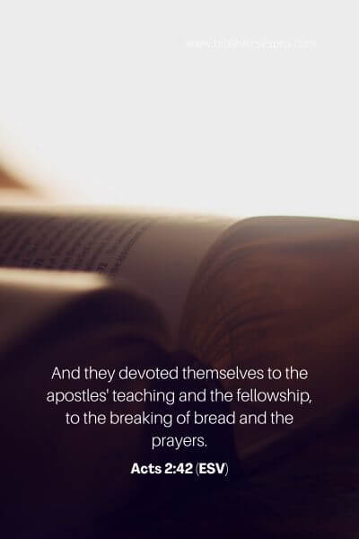 Acts 2_42 (ESV)