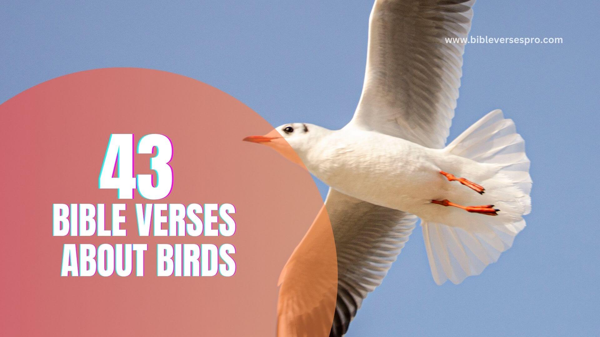 43 Insightful Bible Verses About Birds