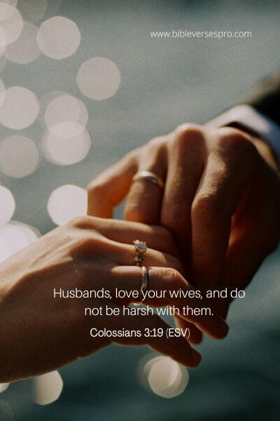 Colossians 3_19 (Esv)