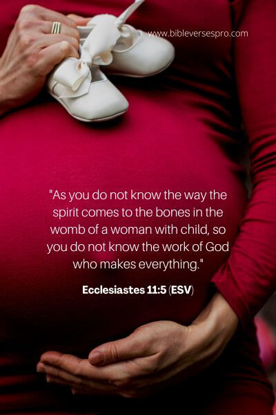 Ecclesiastes 11_5 (Esv)