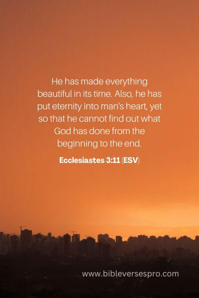 Ecclesiastes 3_11 (Esv)