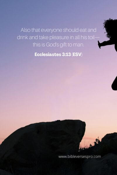 Ecclesiastes 3_13 (ESV)