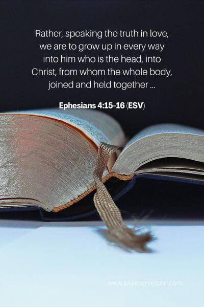 Ephesians 4_15-16 (ESV)