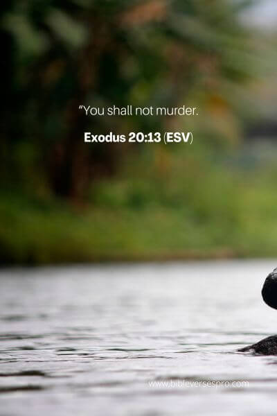 Exodus 20_13 (Esv)