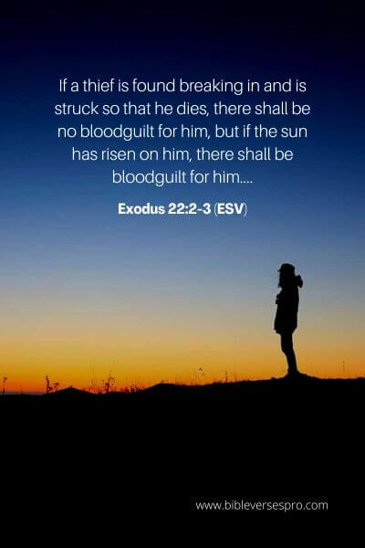 Exodus 22_2-3 (ESV)