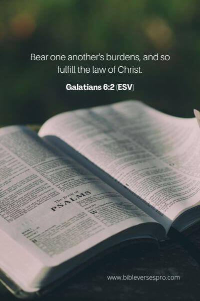 Galatians 6_2 (Esv)