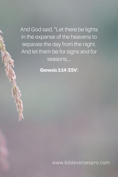 Genesis 1_14 (Esv)