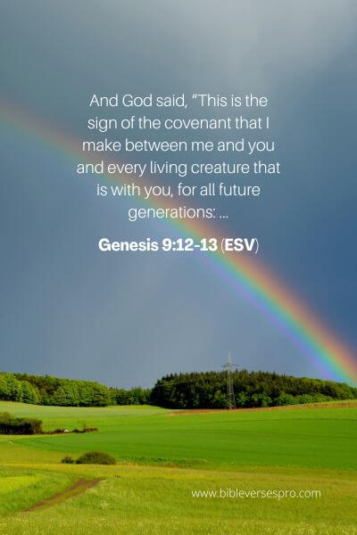 Genesis 9_12-13 (Esv)