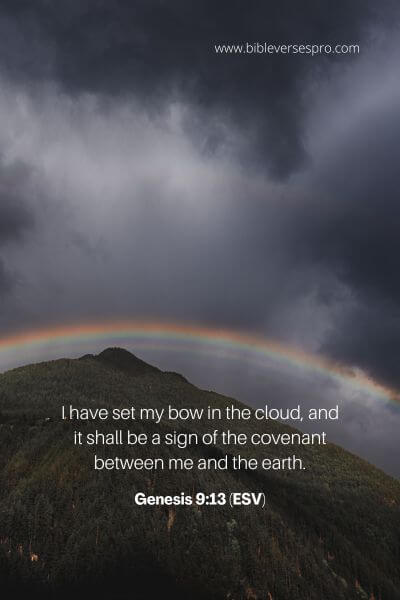 Genesis 9_13 (Esv)