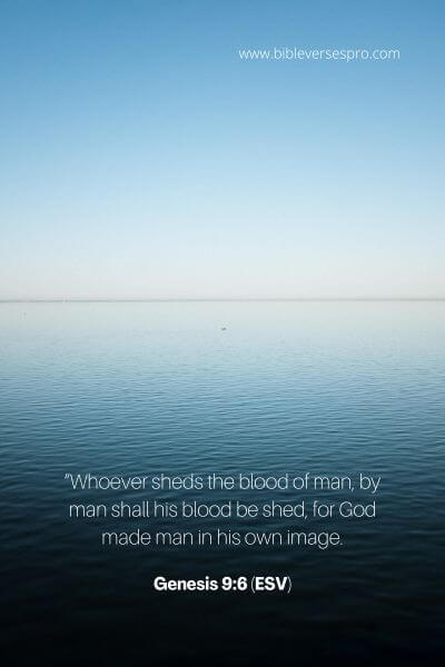 Genesis 9_6 (Esv)
