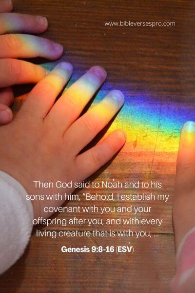 Genesis 9_8-16 (Esv)