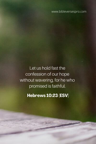 Hebrews 10_23 (ESV)