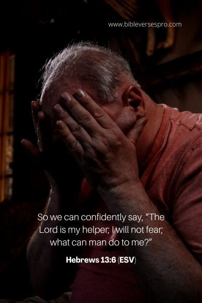 Hebrews 13_6 (Esv)