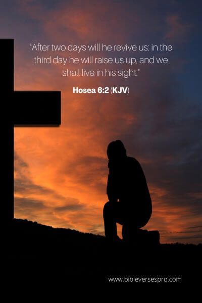 Hosea 6_2 (KJV)