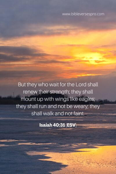 Isaiah 40_31 (Esv)
