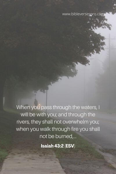 Isaiah 43_2 (Esv)