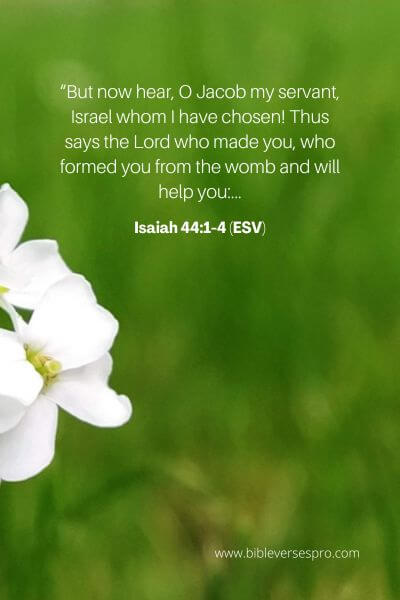 Isaiah 44_1-4 (Esv)
