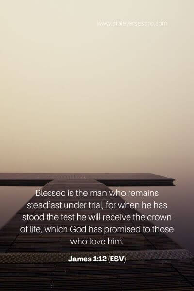 James 1_12 (ESV)