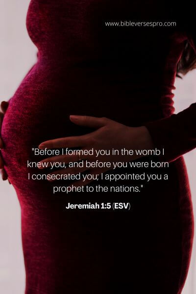Jeremiah 1_5 (Esv)
